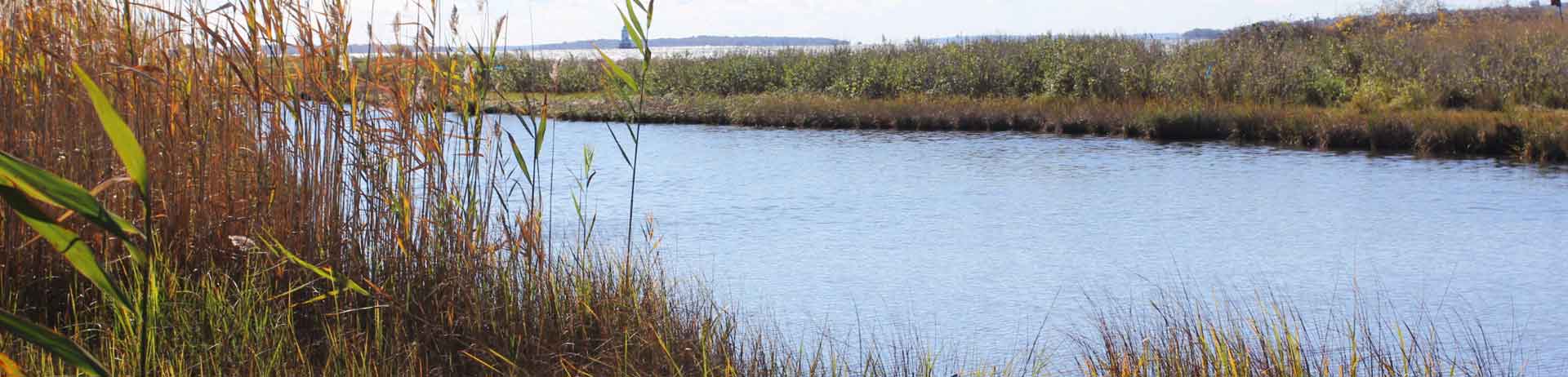 Protected Lands – Barrington Land Trust